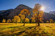 Goldener Herbst im Karwendel - hier am "Großen Ahornboden" von Einhorn Fotografie Miniaturansicht