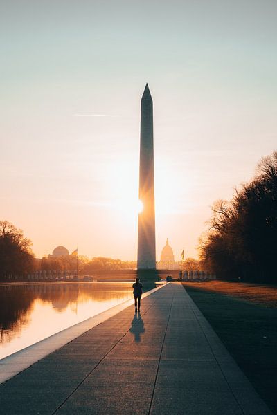 Washington DC by Hello Pompoyo