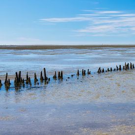 Waddenzee Groningen van Sara in t Veld Fotografie
