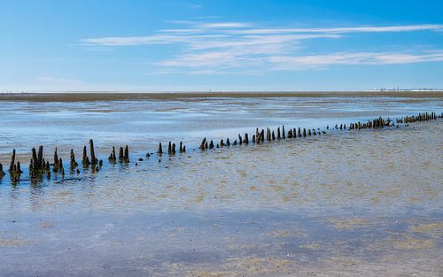 Waddenzee Groningen