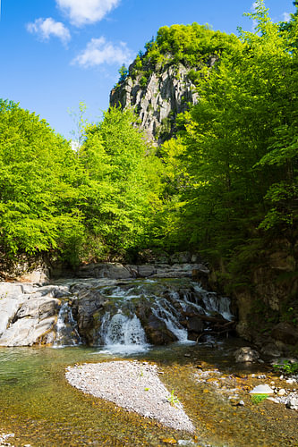 The Emerald Gorge