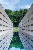 Doorkijk in het Waterloopbos