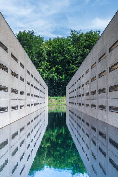 Doorkijk in het Waterloopbos van Tonny Janssen