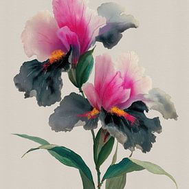 Iris silencieux sur Cats & Dotz