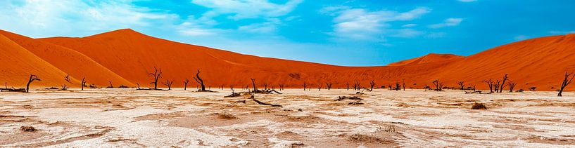 Panorama picture of Deadvlei in the Namib Desert, Sossusvlei, Namibia, Africa by Patrick Groß