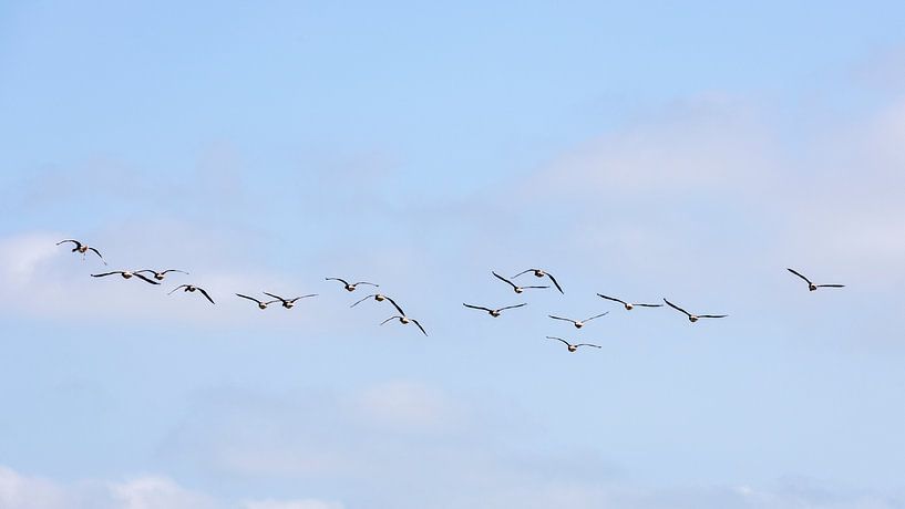 Le paysage de la Hollande du Nord est un monde plein de nature et d'histoire. par Hans de Waay