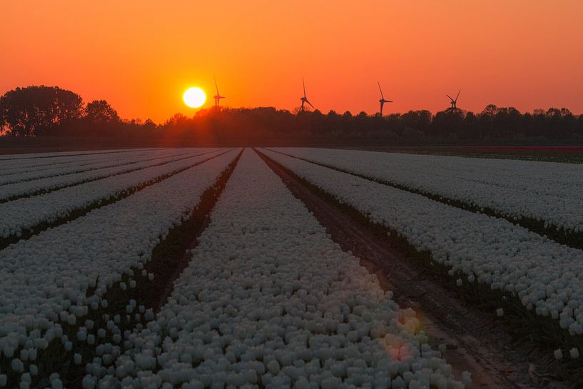 Zonsondergang Goeree Overflakkee van AdV Photography