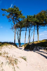 Ostsee - Weststrand auf dem Darß von Reiner Würz / RWFotoArt