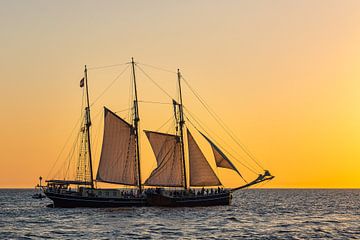 Zeilschip in de zonsondergang bij de Hanse Sail in Rostock