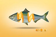 Geteilter Fisch mit Orange - Manipulation von Ursula Di Chito Miniaturansicht