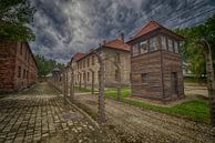De wachttoren en prikkeldraad hekken van Auschwitz van Caught By Light thumbnail