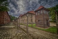 De wachttoren en prikkeldraad hekken van Auschwitz