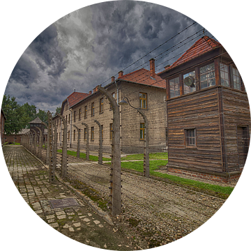 De wachttoren en prikkeldraad hekken van Auschwitz van Caught By Light