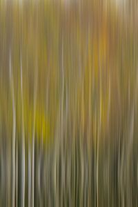 Abstrakte Linien und Farben