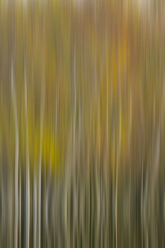 Lignes et couleurs abstraites