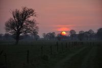 Coucher de soleil avec un arbre