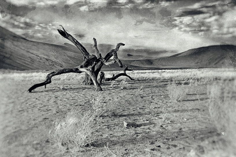 Dead wood in the Namib Desert Namibia 2 by Jan van Reij