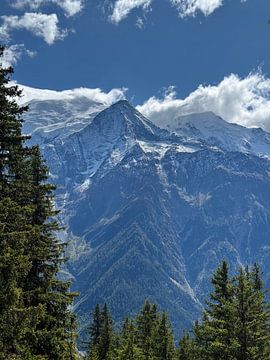 Towering Peaks Above Chamonix by Joris de Bont