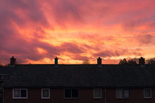 Roofs in a Post-War Housing Estate
