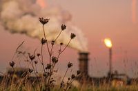 Cooking gas plant Tata Steel IJmuiden