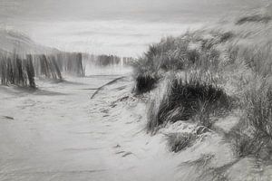Des dunes et une entrée de plage en cas de grosse tempête sur eric van der eijk