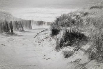 Dünen und Strandeingang im Falle eines großen Sturms