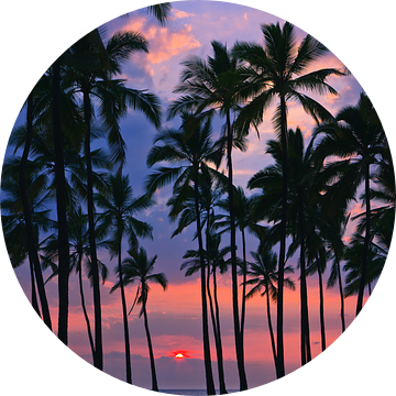 Zonsondergang bij Pu'uhonua o Hōnaunau, Hawaii van Henk Meijer Photography