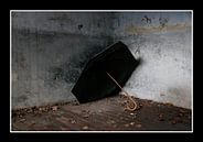 Umbrella by Paul Schrandt thumbnail