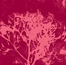 Abstract botanical art. Organic shapes in wine red and pink. by Dina Dankers thumbnail
