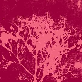 Abstract botanical art. Organic shapes in wine red and pink. by Dina Dankers