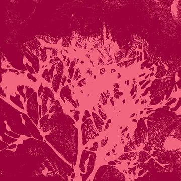 Abstracte botanische kunst. Organische vormen in wijnrood en roze. van Dina Dankers