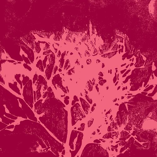 Art botanique abstrait. Formes organiques en rouge vin et rose.