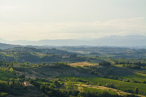 Het uitzicht vanuit  San Gimignano, Toscane in de avondzon