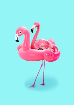 Flamingo im Resort von 360brain
