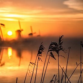 kinderdijk Sonnenaufgang Sonne Nebel Reflexion von Marco van de Meeberg