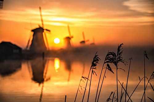 kinderdijk Sonnenaufgang Sonne Nebel Reflexion von Marco van de Meeberg