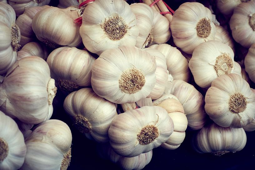 Garlic by Sjoerd van der Hucht