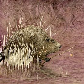 Ode to the beaver by Marieke Nelissen
