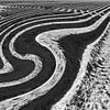 Courbes en S et oiseaux dans le champ de pommes de terre sur Eugene Winthagen