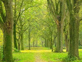 Fifty shades of green