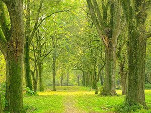 Fifty shades of green