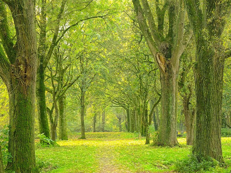 Fifty shades of green van Bob Bleeker