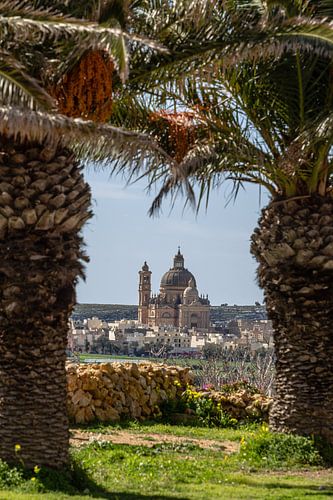 Gozo