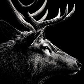 Hirsch im Schatten – Majestätisches Profil von drdigitaldesign