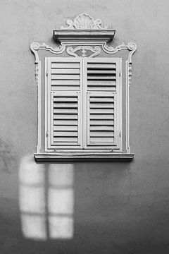 Dubbel venster (zwart en wit) van flotografie