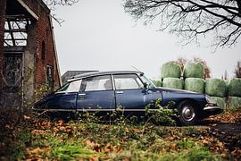 Beautiful Barn Find van Linda Hutten