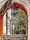 Through the Archway to the Garden in Rome by Dorothy Berry-Lound thumbnail