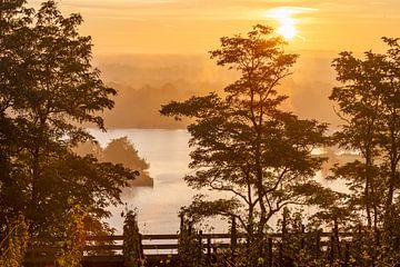 Sunrise during the golden hour over the Maas valley shrouded in fog by Kim Willems