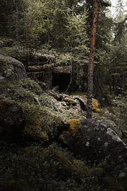 Versteckte Höhle im Urwald — Vertikale Landschaftsfotografie mit geheimnisvollem Lichteinfall von Dylan Winter Visuals