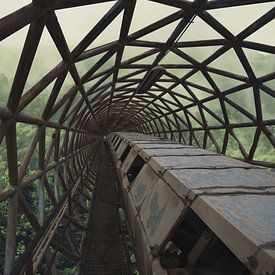 Bridge beyond van Michelle Casteren